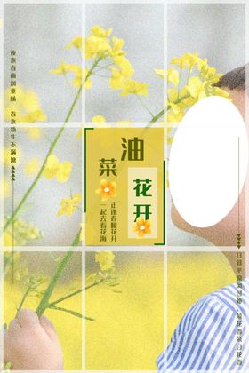 油菜花开