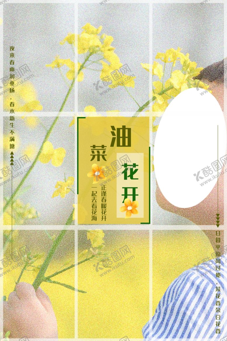 编号：96753106280714382184【酷图网】源文件下载-油菜花开