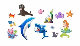 海洋生物鲨鱼星美人鱼豹