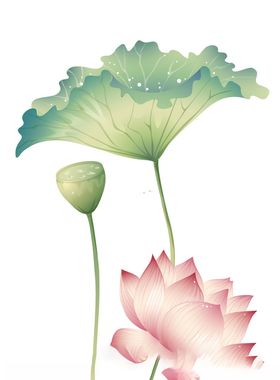 水墨风荷花图片