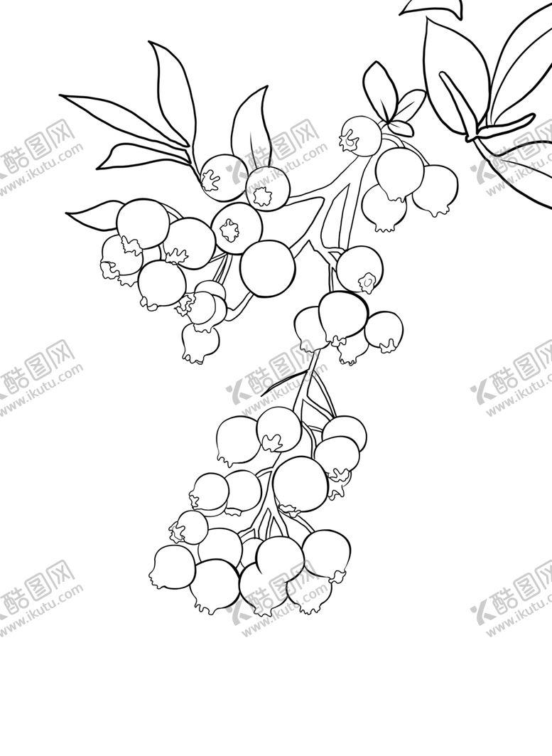 编号：40877707061638009396【酷图网】源文件下载-蓝莓