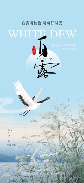 白露水墨画插画新中式