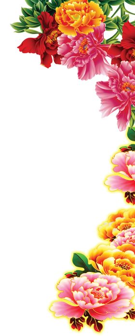 牡丹花