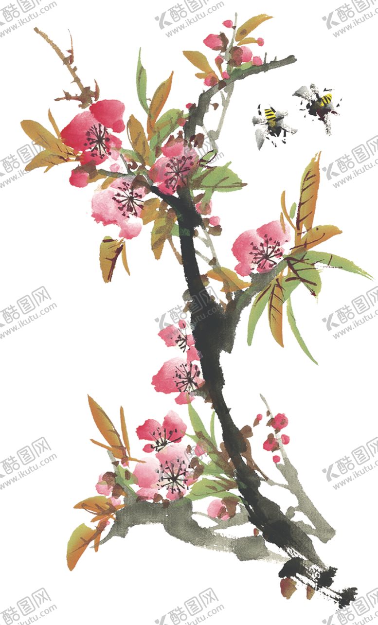编号：20339604251224374357【酷图网】源文件下载-菊花装饰