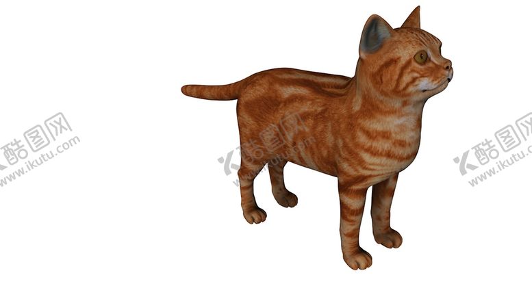 编号：49444712261550227144【酷图网】源文件下载-猫C4D模型