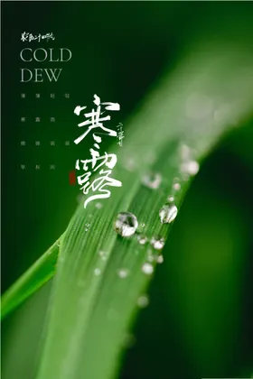 寒露刷屏白宣传
