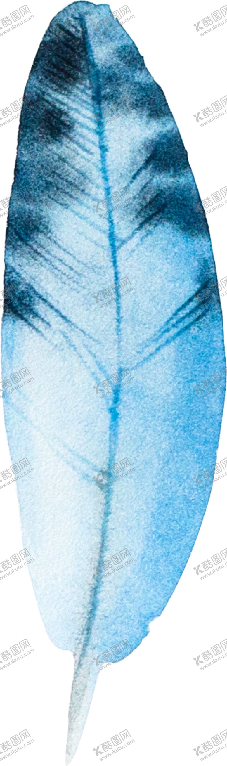 编号：60779709180647285163【酷图网】源文件下载-手绘水彩羽毛