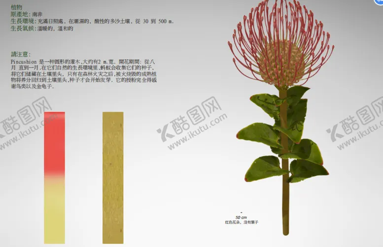 编号：20313601190354151494【酷图网】源文件下载-C4D模型 花朵  