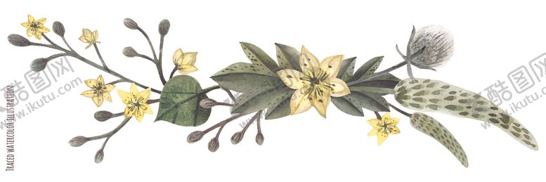 编号：55652911011313229502【酷图网】源文件下载-绿植花卉