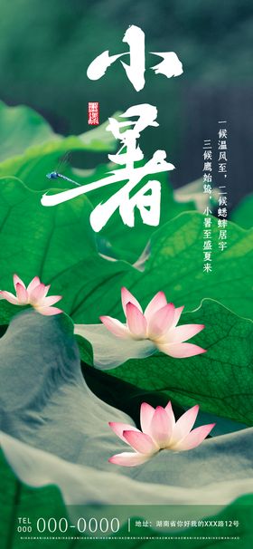 小暑节气清新海报