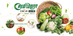 有机蔬菜