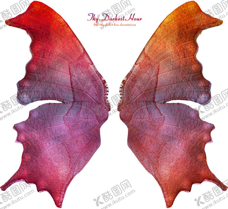 编号：67389710142128088378【酷图网】源文件下载-蝴蝶翅膀