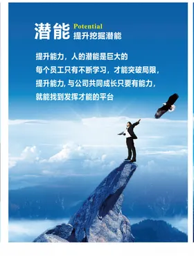 企业文化