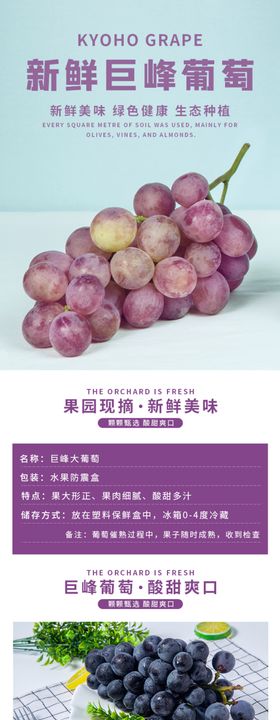 水果详情页水果海报素材水果