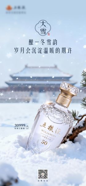 白酒大雪节气海报