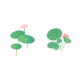 荷花