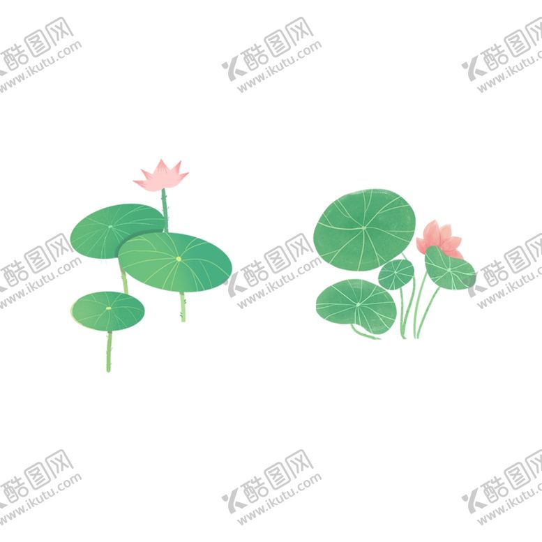 编号：43240605131827191697【酷图网】源文件下载-荷花