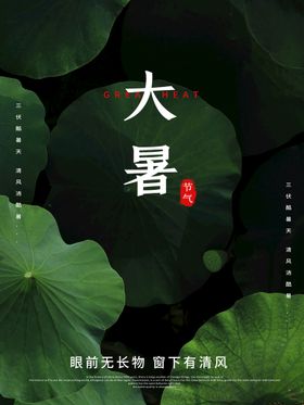 大暑朋友圈荷花节气气氛