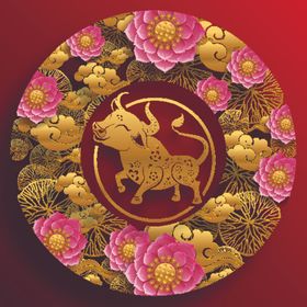 牛年