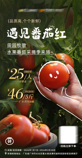 田园番茄手绘采摘海报