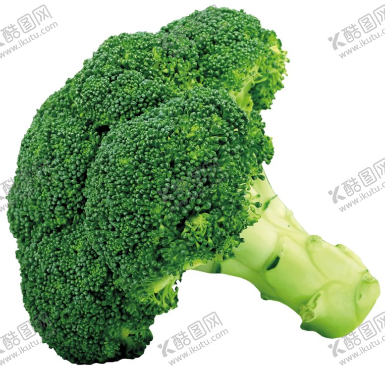 编号：89653305042202351681【酷图网】源文件下载-西兰花