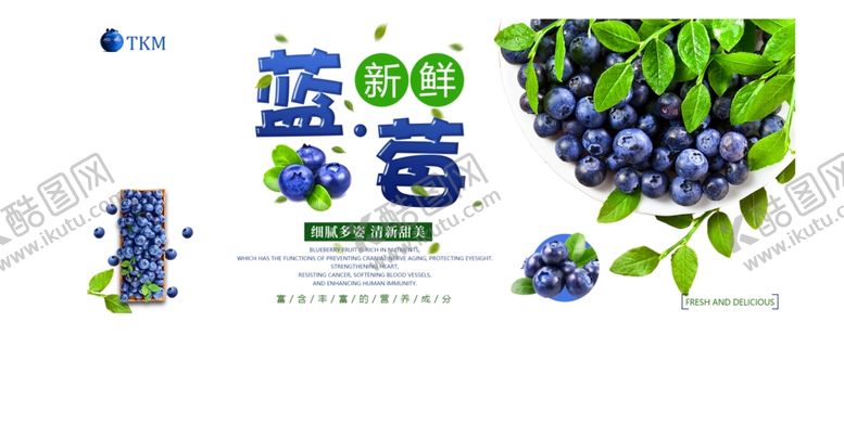 编号：54953409140522262740【酷图网】源文件下载-蓝莓banner