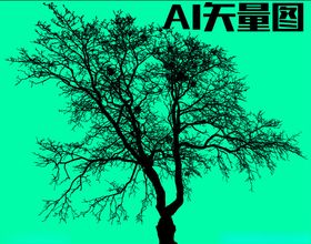 树木森林插画
