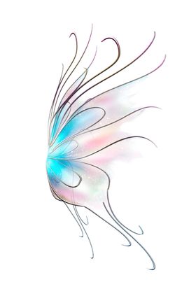 蝴蝶素材