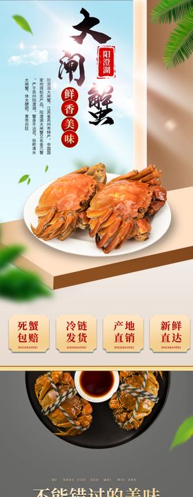 大厨家常菜美食展示