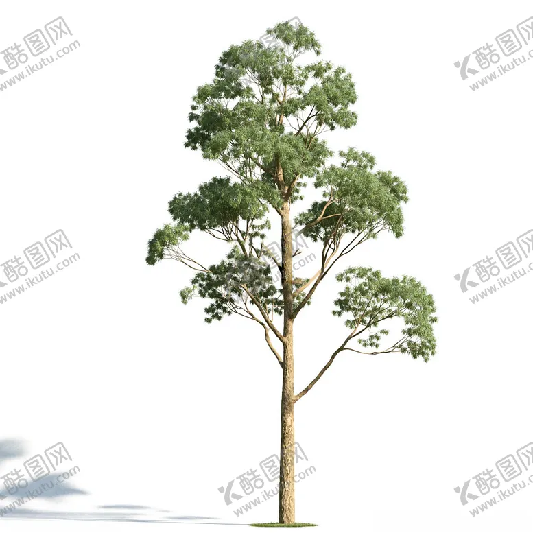 编号：36042602120419296985【酷图网】源文件下载-C4D模型树