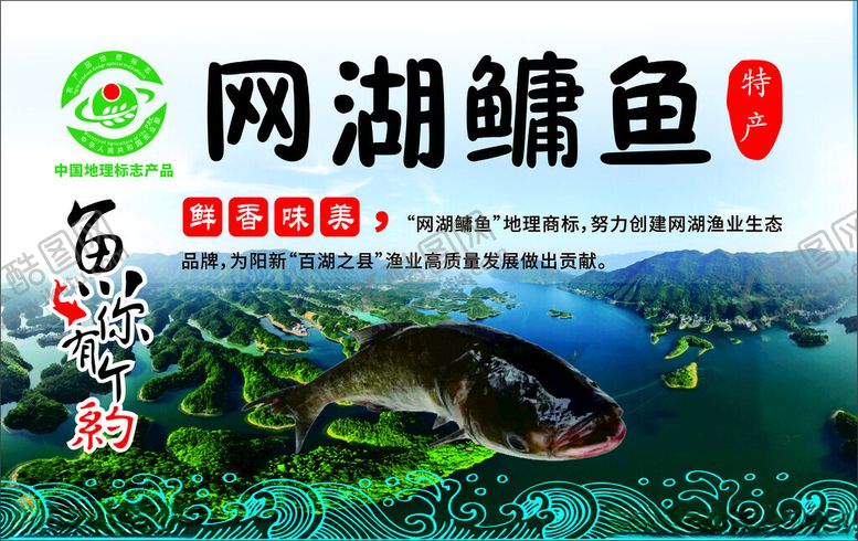 编号：55259302160331303819【酷图网】源文件下载-网湖鳙鱼海报鱼广告鱼写真