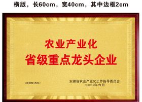 木托奖牌