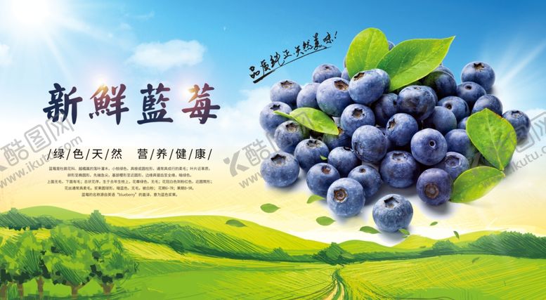 编号：79486510310337117627【酷图网】源文件下载-蓝莓采摘展板
