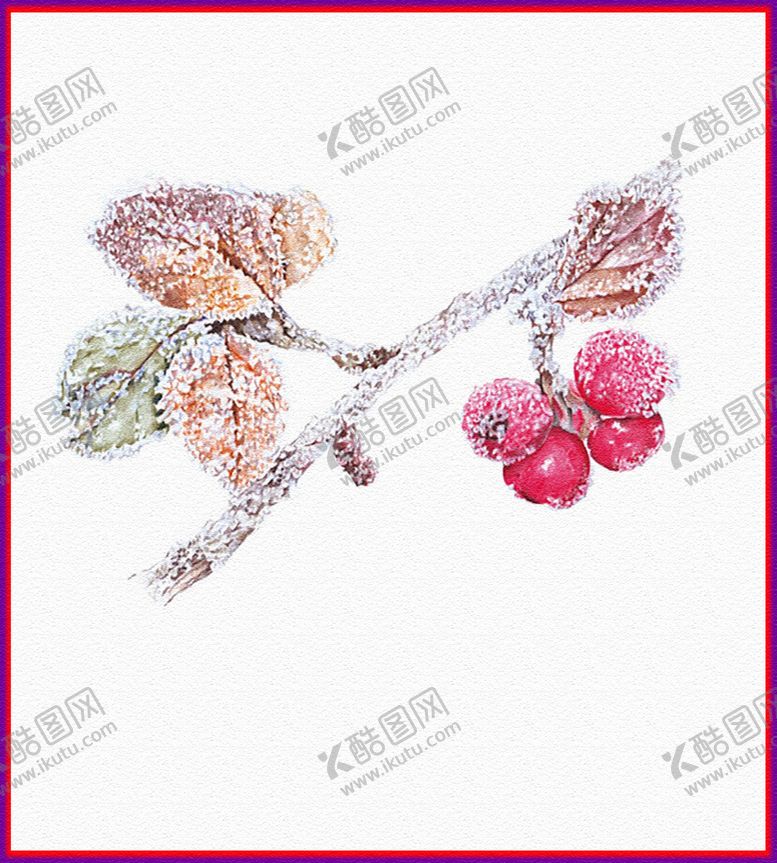 编号：98392305041016018492【酷图网】源文件下载-插画杨梅