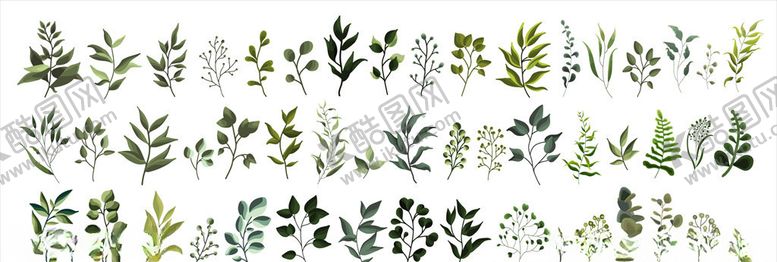 编号：47273609281418053092【酷图网】源文件下载-植物叶子合集