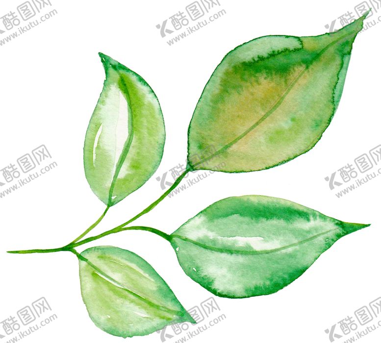 编号：97884510310430366490【酷图网】源文件下载-水彩植物