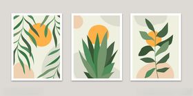 清新植物花卉装饰画组图