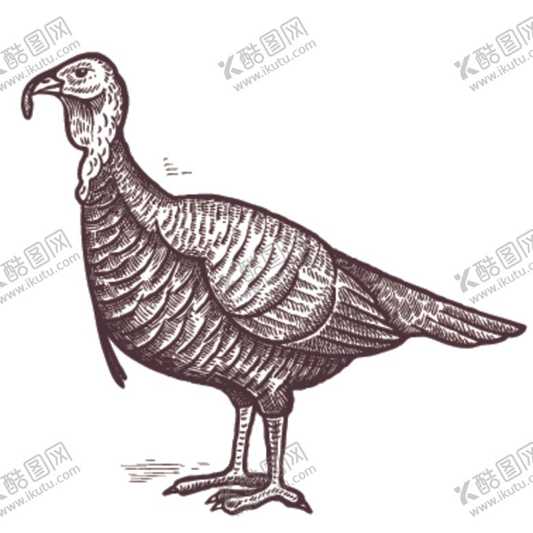编号：56322007132054046921【酷图网】源文件下载-家养动物主题插画