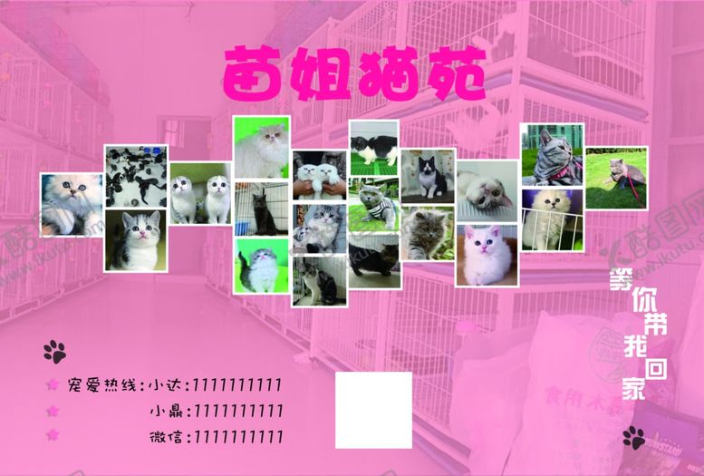 编号：57111209290012161091【酷图网】源文件下载-猫狗宠物粉色波斯猫可爱宣传单