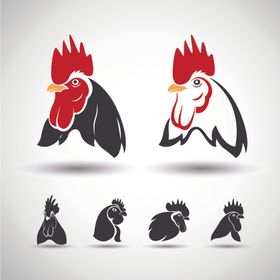 公鸡图标