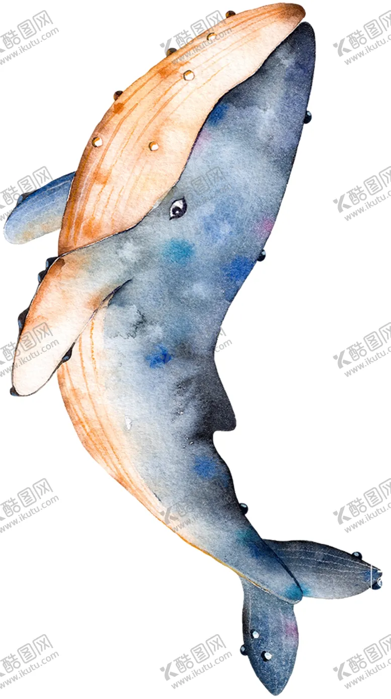 编号：43466603140659457214【酷图网】源文件下载-鲸鱼