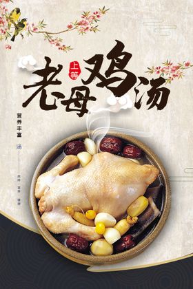 老母鸡汤养生美食海报