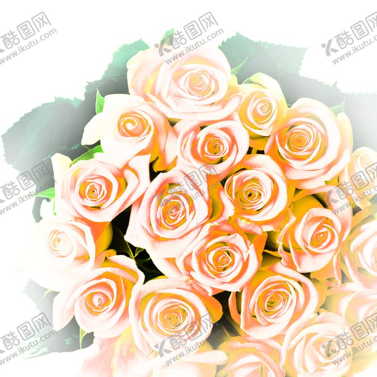 编号：31228410041636241460【酷图网】源文件下载-花素材