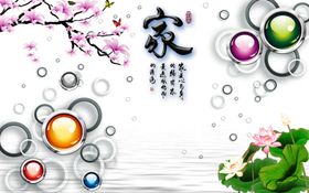 花开富贵装饰画