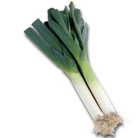 大葱