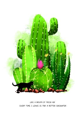 仙人掌植物