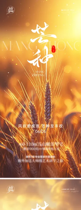 芒种节气海报阳光二十四稻田麦穗