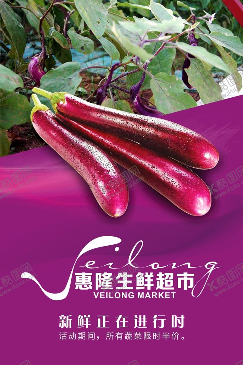 编号：43140010161611004333【酷图网】源文件下载-紫茄海报