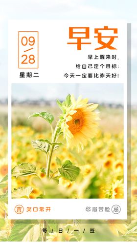 每日一签海报