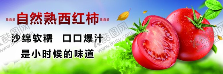 编号：34912506271140491972【酷图网】源文件下载-自然熟西红柿